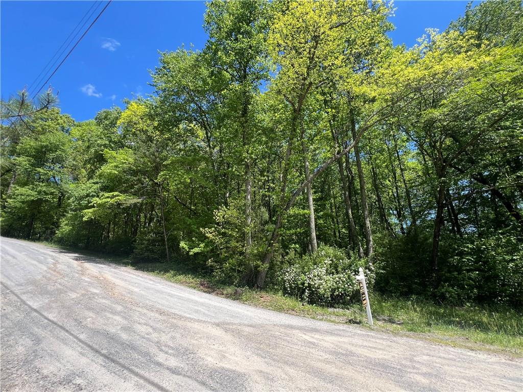 Photo 1 of 5 — 0 Sunrise Valley Road, Blue Ridge, GA 30513