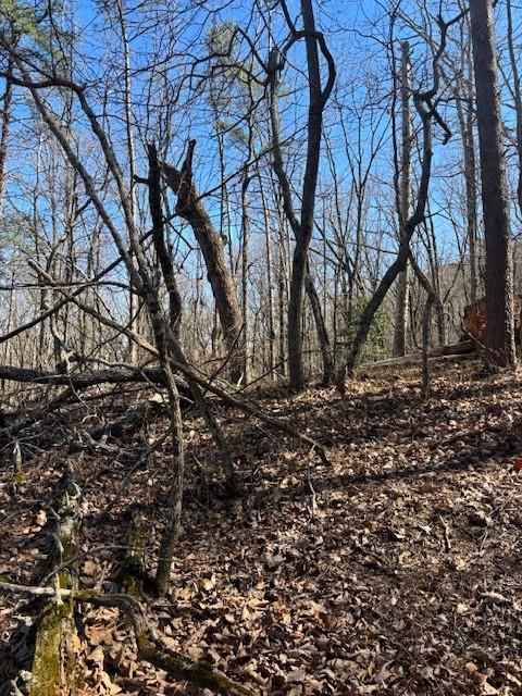 125 Gum Wood Court
