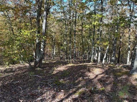 Vacant Land For Sale - TR 3 Culp Lake Road<br/> Cedartown, GA 30125