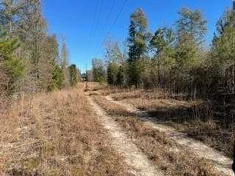 Vacant Land For Sale - 871 Eufalula Highway<br/> Fort Gaines, GA 39851