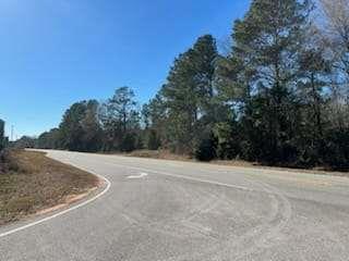 871 Eufalula Highway, Fort Gaines, Georgia image 9