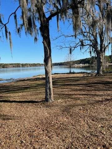 871 Eufalula Highway, Fort Gaines, Georgia image 8