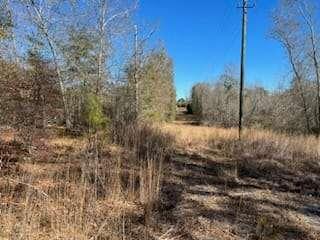 871 Eufalula Highway, Fort Gaines, Georgia image 10