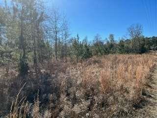 871 Eufalula Highway, Fort Gaines, Georgia image 3