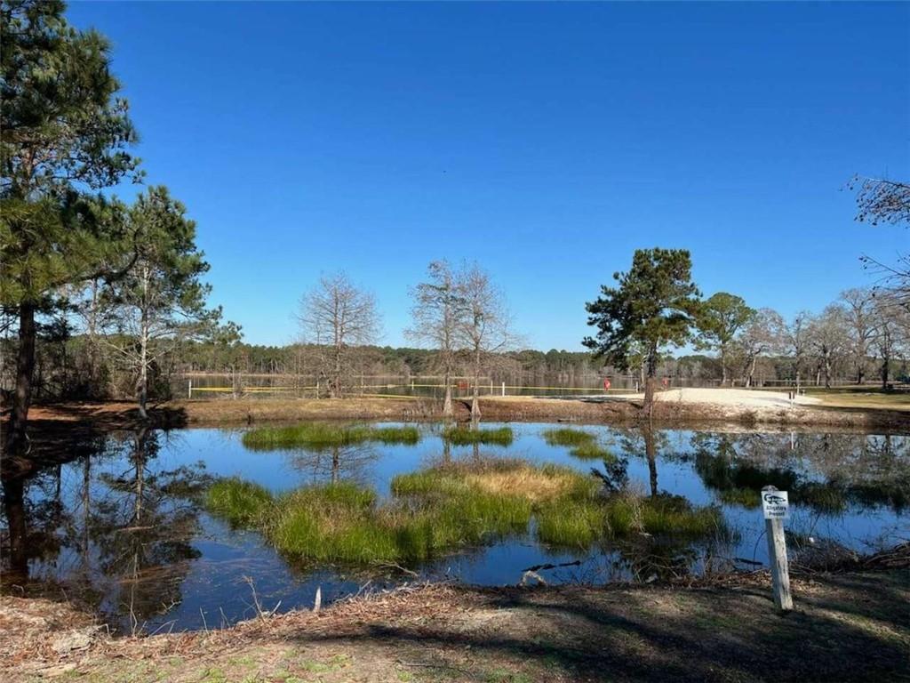871 Eufalula Highway, Fort Gaines, Georgia image 14