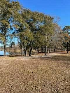 871 Eufalula Highway, Fort Gaines, Georgia image 16