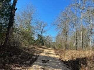 871 Eufalula Highway, Fort Gaines, Georgia image 4