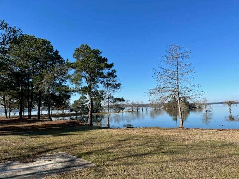 871 Eufalula Highway, Fort Gaines, Georgia image 13