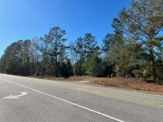 871 Eufalula Highway, Fort Gaines, Georgia image 12