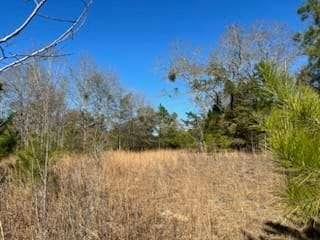 871 Eufalula Highway, Fort Gaines, Georgia image 6