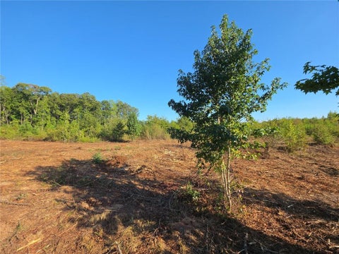Vacant Land For Sale - Butler Road<br/> Franklin, GA 30217
