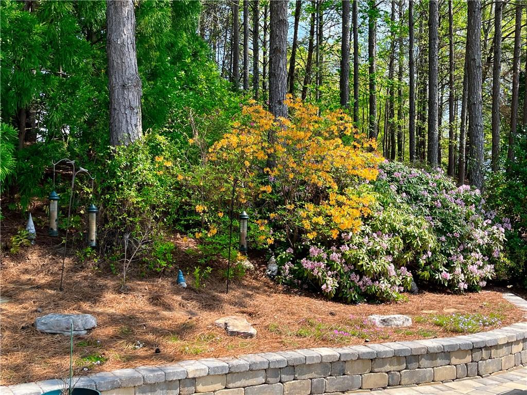 201 Aster Court, Canton, Georgia image 43