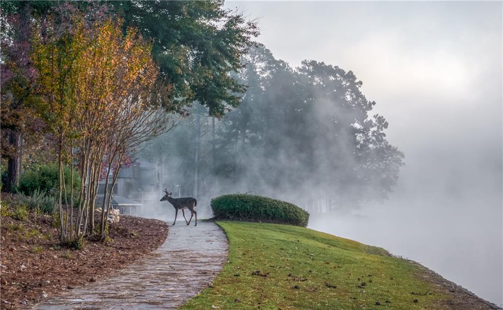 310 Clear Creek Court