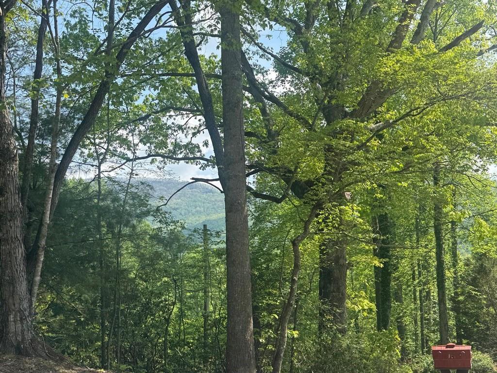 725 Bearmeat Spur, Hiawassee, Georgia image 2