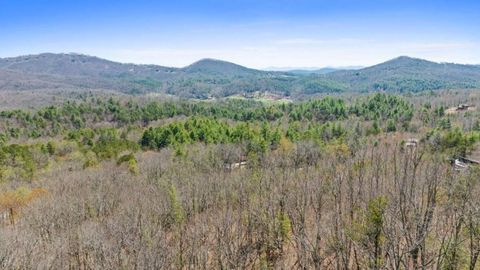 40A Synacia Road Mineral Bluff GA 30559
