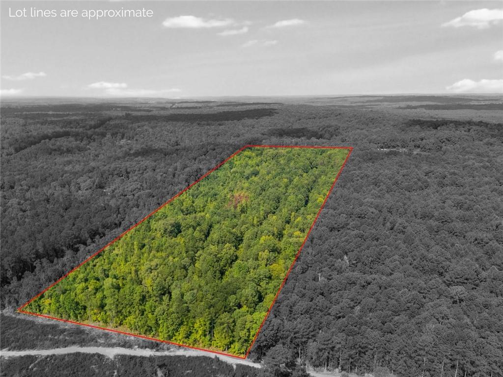 Enjoy 17.88 acres of mixed timber and planted pines ready for harvest. Build your dream home and bring all the animals and toys! There is a creek that runs thru the back part of the property.