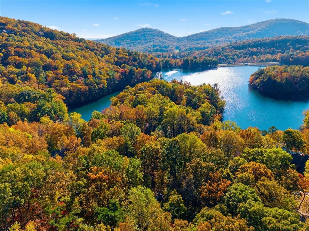 112 Canada Geese Point