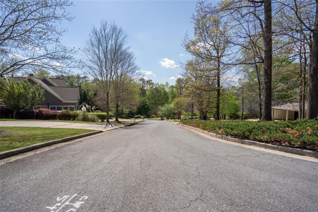 541 Earlvine Way, Kennesaw, Georgia image 44