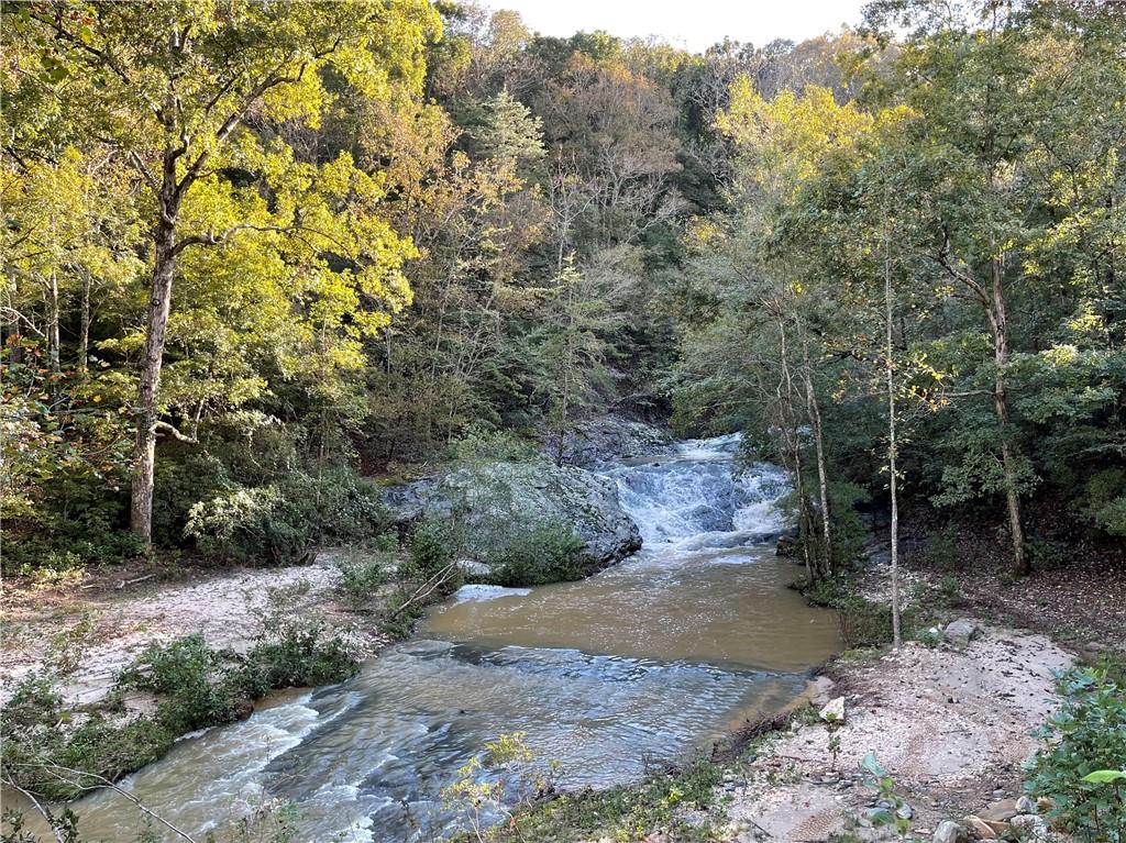 Garrison Shoals Road, Lula, Georgia image 1