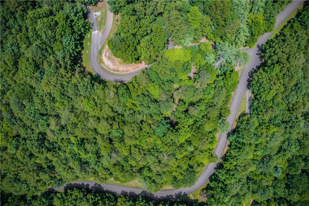 4.7AC Mountain Creek Hollow Drive