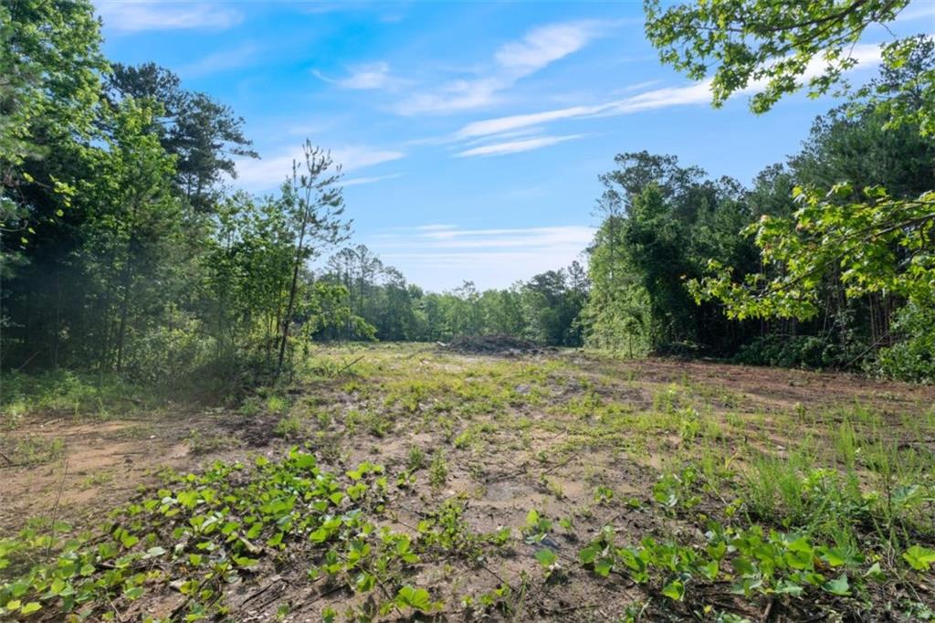 415 Pamela Ct, Mcdonough, Georgia image 10