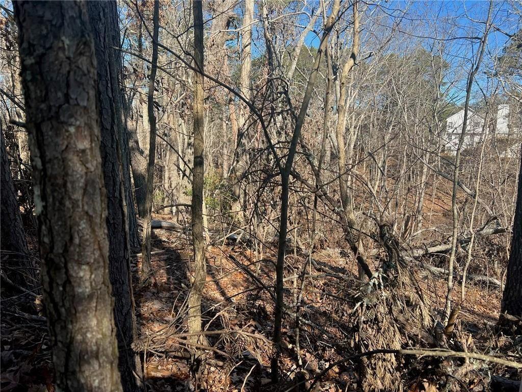 924 Whistler Lane