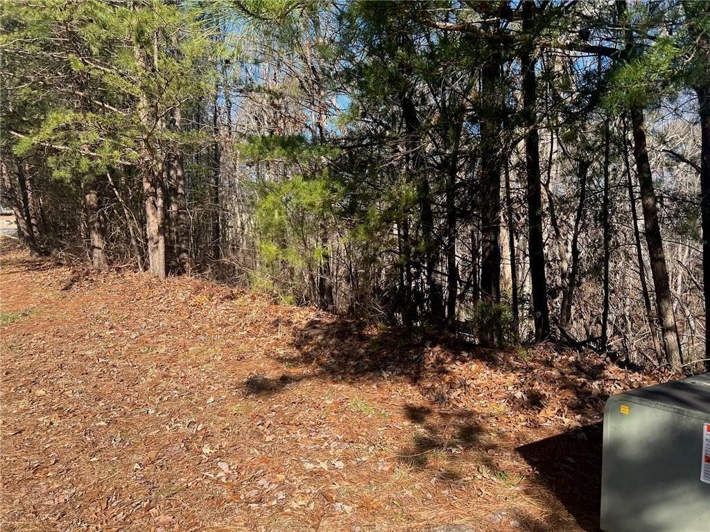 924 Whistler Lane