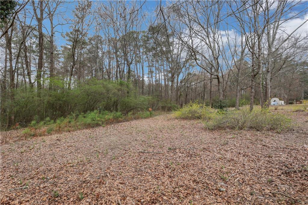 4169 Cedar Valley Lane, Conley, Georgia image 34