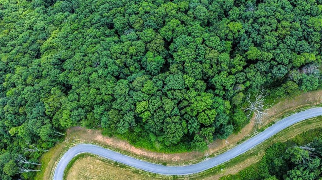 LOT 56 High Summit Drive