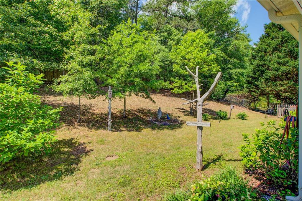 333 Mary Alice Drive, Winder, Georgia image 27