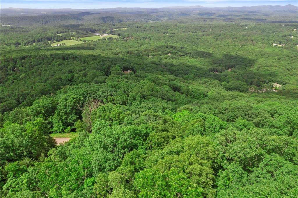 7345 Skyline Drive, Big Canoe, Georgia image 7