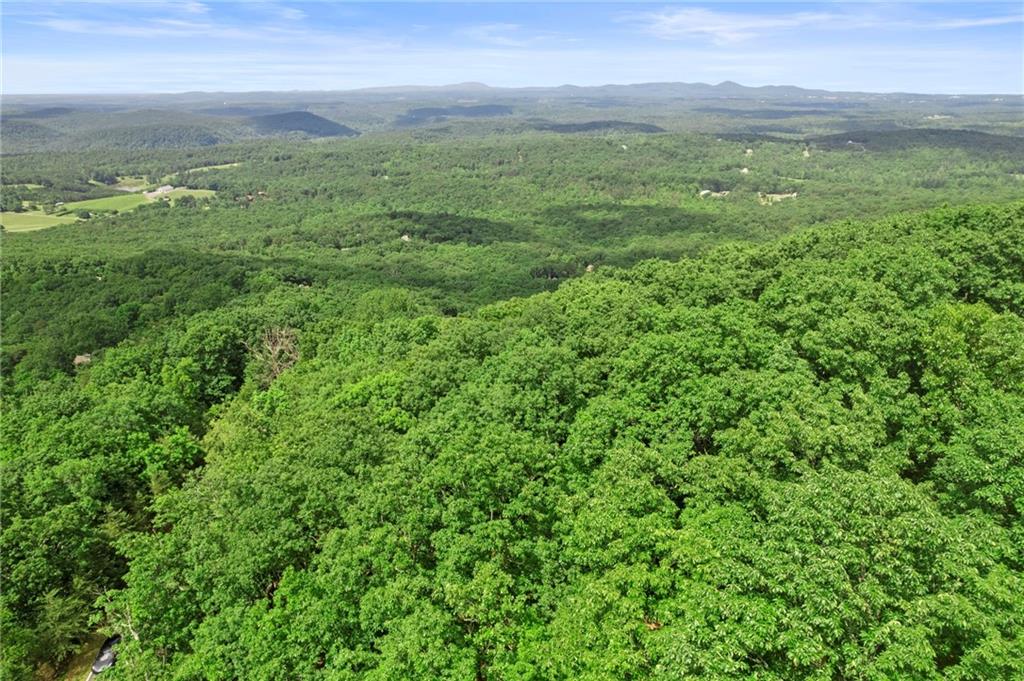 7345 Skyline Drive, Big Canoe, Georgia image 11