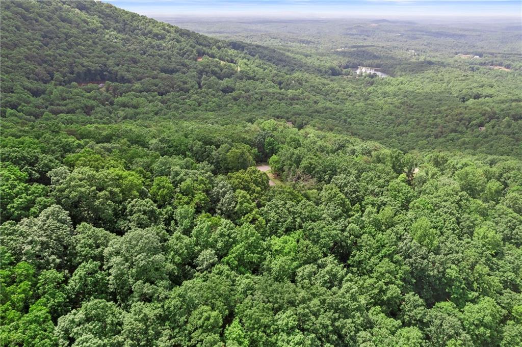 7345 Skyline Drive, Big Canoe, Georgia image 8