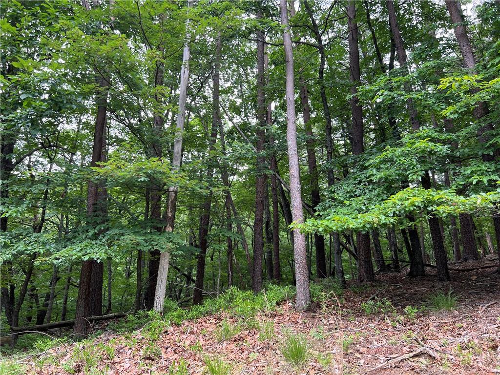 1139 Oglethorpe Mountain Road, Jasper, Georgia image 8