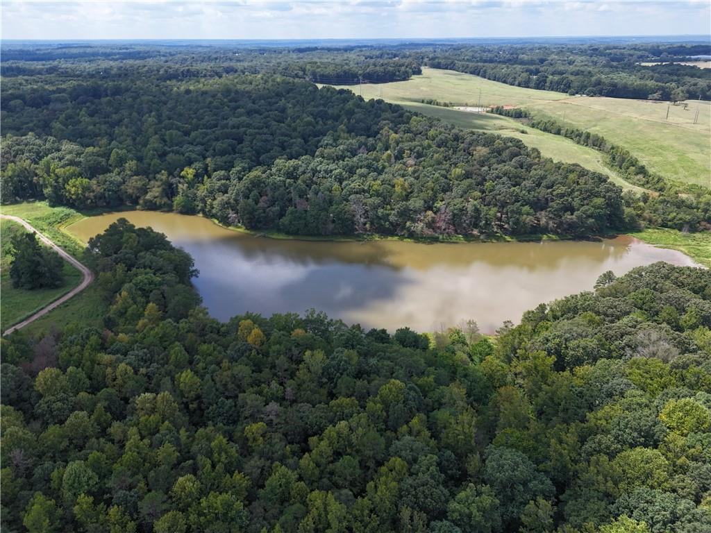 Sanford Lake Drive, Nicholson, Georgia image 9