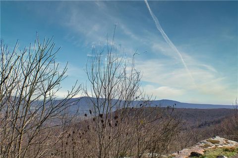 Vacant Land For Sale - 157 Highway<br/> Rising Fawn, GA 30738