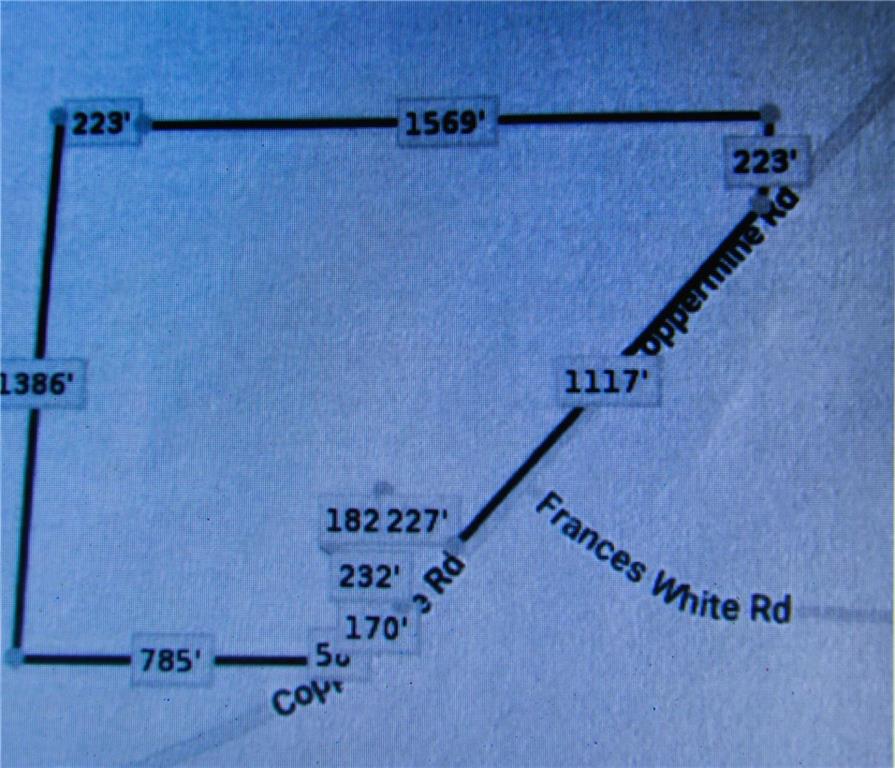 00 Coppermine Road, Buchanan, Georgia image 9