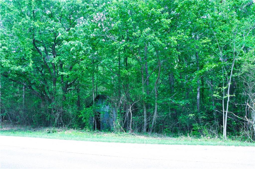 00 Coppermine Road, Buchanan, Georgia image 5