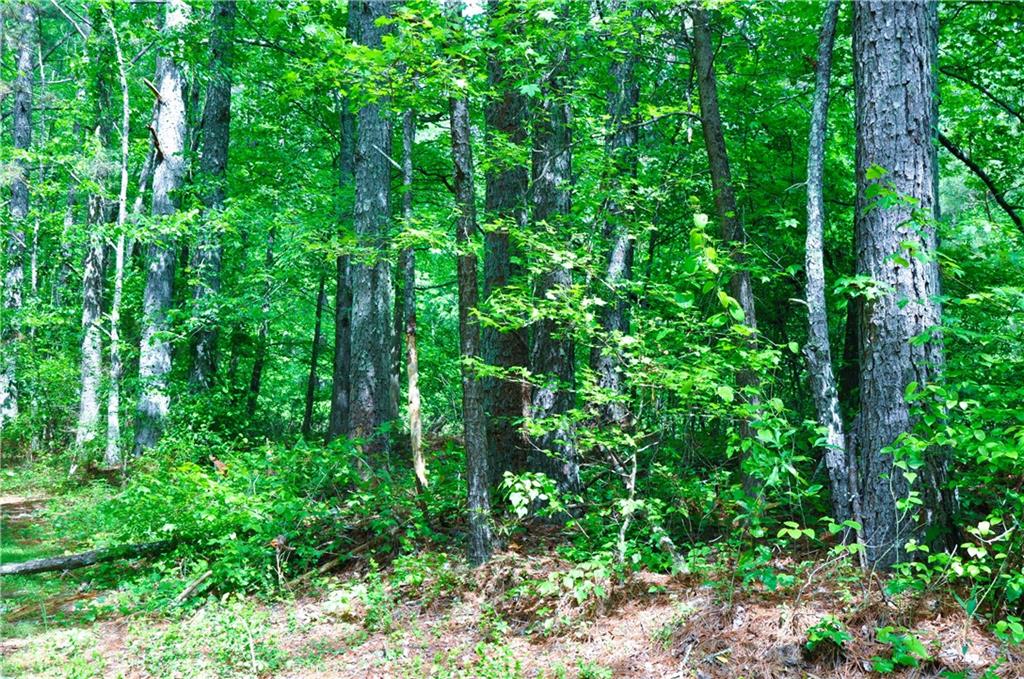00 Coppermine Road, Buchanan, Georgia image 2
