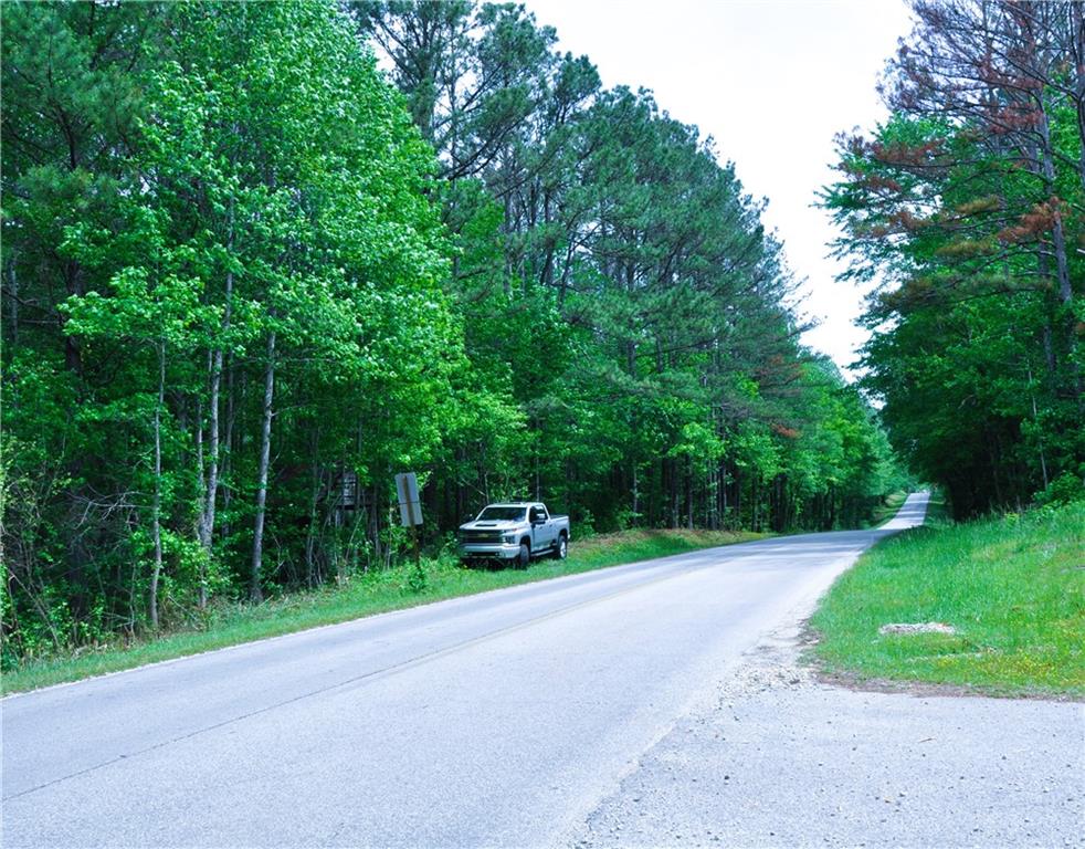 00 Coppermine Road, Buchanan, Georgia image 7