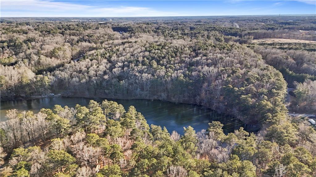 Lower Dixie Lake Road, Union City, Georgia image 7