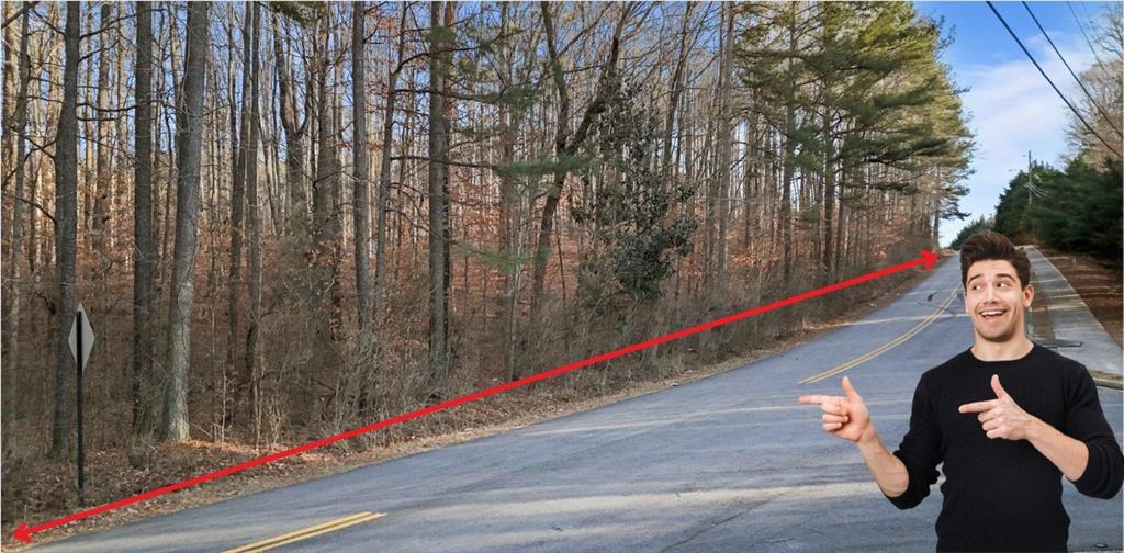 Lower Dixie Lake Road, Union City, Georgia image 14