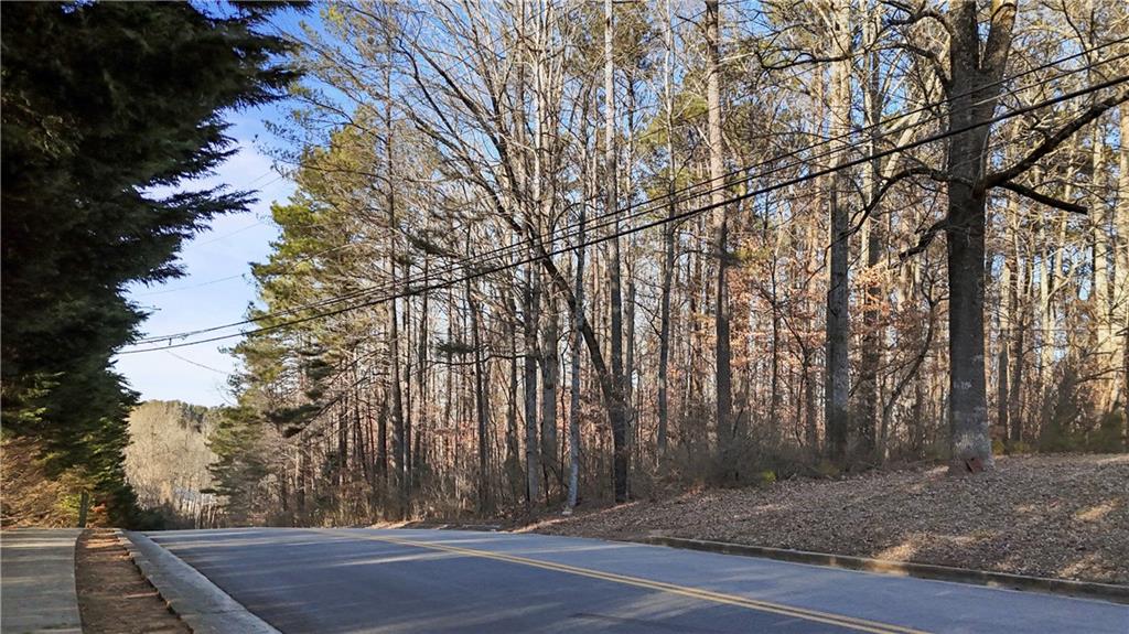 Lower Dixie Lake Road, Union City, Georgia image 11