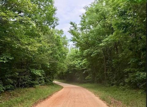 Vacant Land For Sale - 1360 Evans Road<br/> Washington, GA 30673