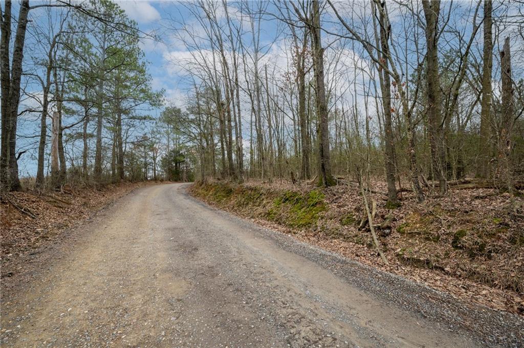 1031 Langford Road, Ranger, Georgia image 7