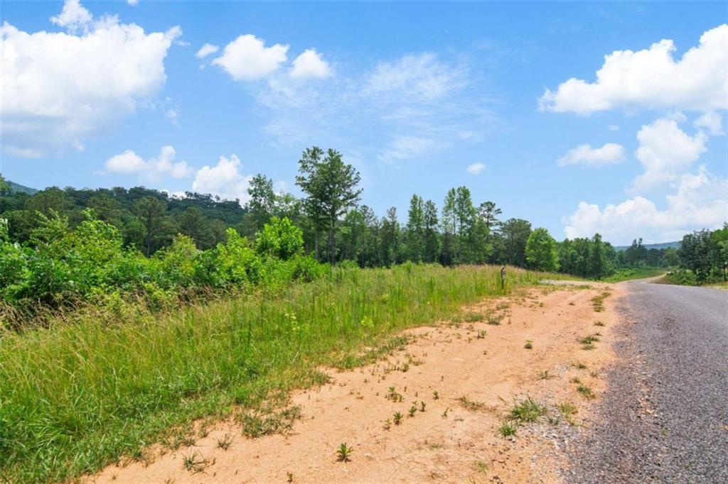 LT 196 Oak Park Dr, Talking Rock, Georgia image 9