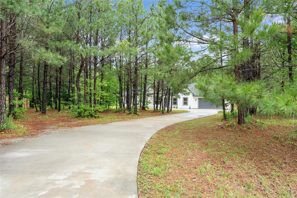 110 Beaver Pointe, Villa Rica, Georgia image 4