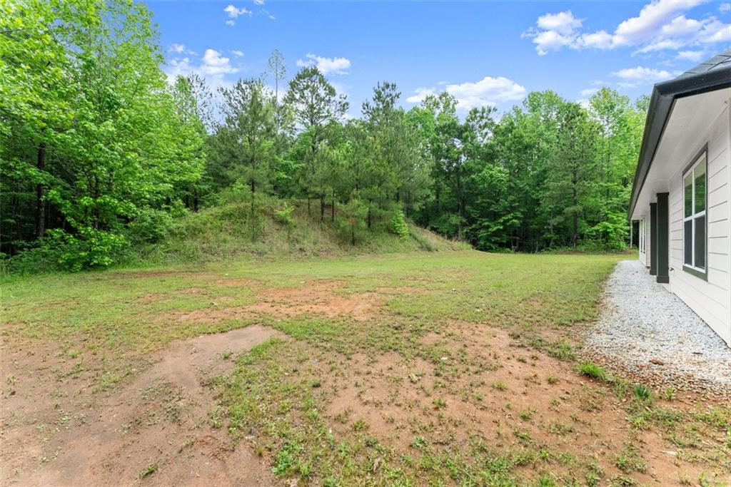 110 Beaver Pointe, Villa Rica, Georgia image 23