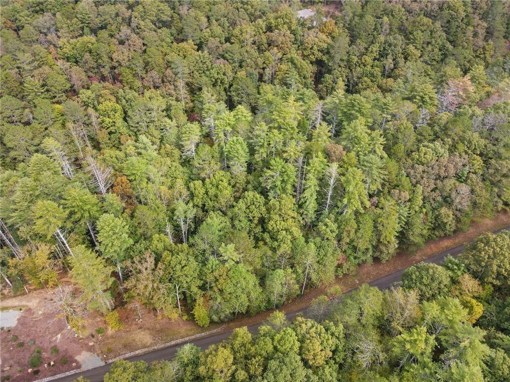 Mountain Creek Hollow - Land