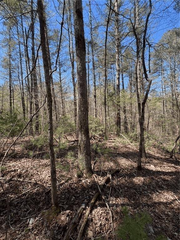 Mountain Creek Hollow - Land